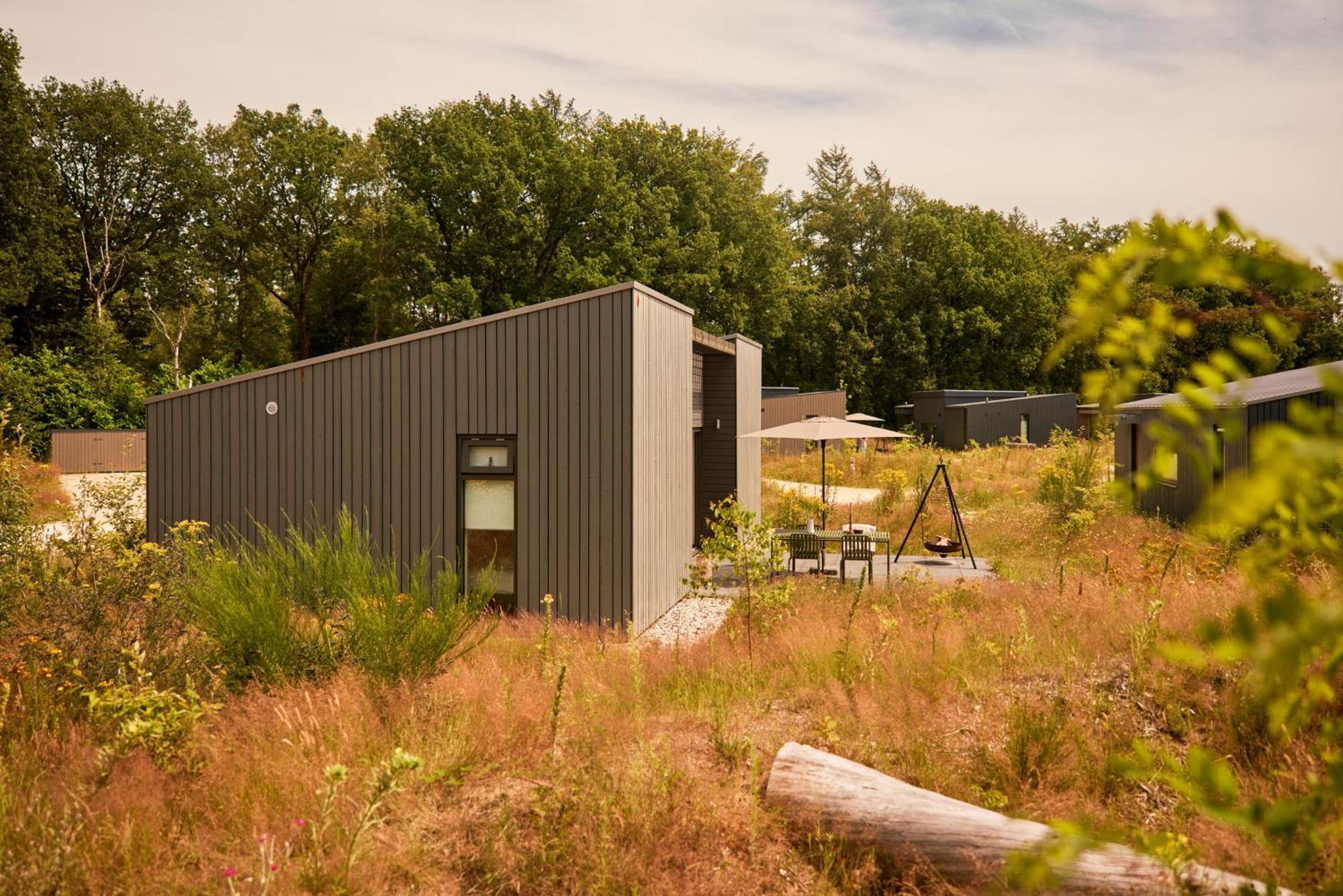 Dutchen Zeegser Duinen Suitelodges Exterior foto